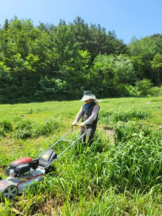 농촌환경을살리는사람님의 작성글 사진