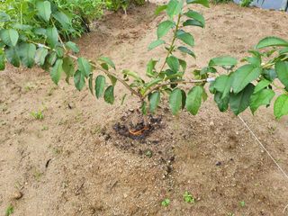 농촌환경을살리는사람님의 작성글 사진