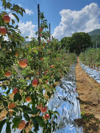 농촌환경을살리는사람님의 작성글 사진