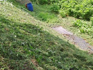 (힐링따오기쉼터)님의 두릅 · 영농일지 작성글 사진