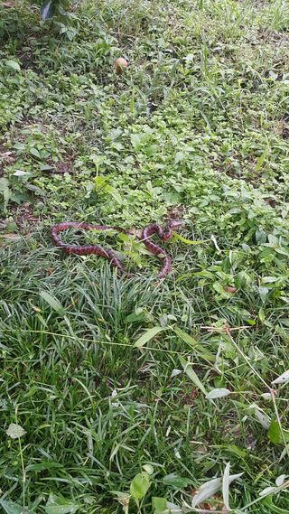 박정재님의 자유주제 · 자유게시판 작성글 사진