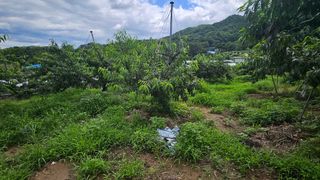 종합선물세트님의 자유주제 · 자유게시판 작성글 사진