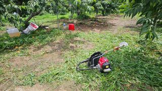 종합선물세트님의 자유주제 · 자유게시판 작성글 사진