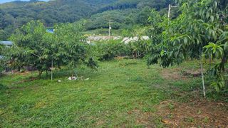 종합선물세트님의 자유주제 · 자유게시판 작성글 사진