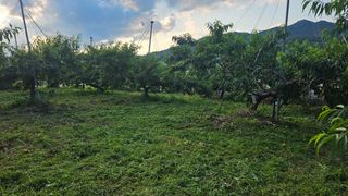 종합선물세트님의 자유주제 · 자유게시판 작성글 사진