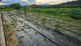 종합선물세트님의 자유주제 · 자유게시판 작성글 사진