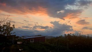 종합선물세트님의 자유주제 · 자유게시판 작성글 사진