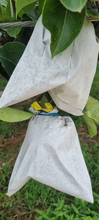 마음자리님의 자유주제 · 자유게시판 작성글 사진