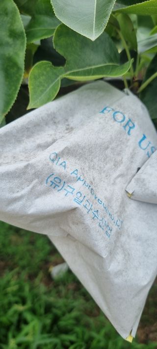 마음자리님의 자유주제 · 자유게시판 작성글 사진