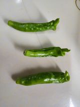 팜모닝 자유주제·자유게시판 게시글 이미지