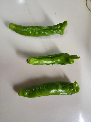 조월자님의 자유주제 · 자유게시판 작성글 사진