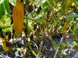 12345우각장당리님의 자유주제 · 사진전 작성글 사진