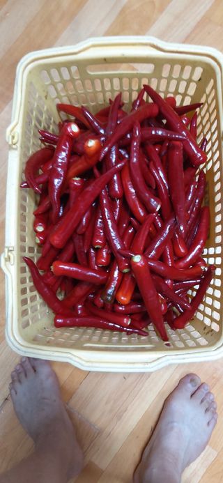 김영문님의 자유주제 · 자유게시판 작성글 사진