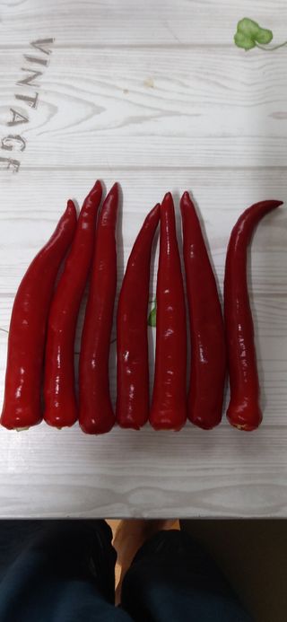 김영문님의 자유주제 · 자유게시판 작성글 사진