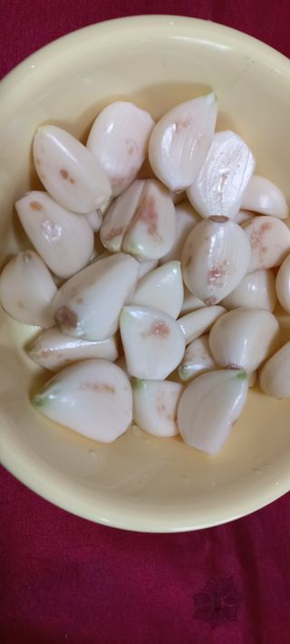 척야산농장(최연봉)님의 마늘 · 병해충상담 작성글 사진