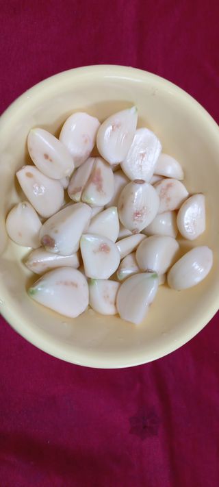 척야산농장(최연봉)님의 마늘 · 병해충상담 작성글 사진