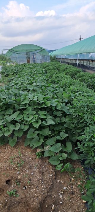 별라님의 자유주제 · 자유게시판 작성글 사진