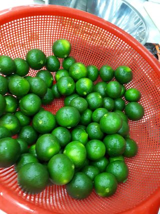 새달귤농장님의 작성글 사진