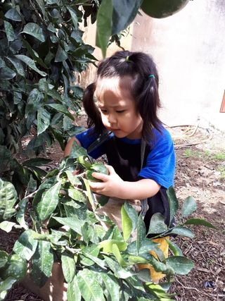 새달귤농장님의 작성글 사진