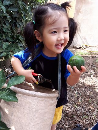 새달귤농장님의 작성글 사진