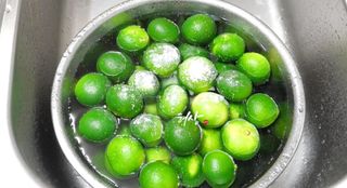 새달귤농장님의 작성글 사진