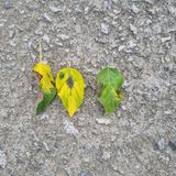 팜모닝 농사, 무엇이든 물어보세요!·참여글 게시글 이미지