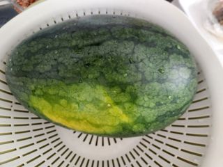 김영옥님의 🍗삼복 보양식 추천해요! · 참여글 작성글 사진