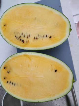 김영옥님의 🍗삼복 보양식 추천해요! · 참여글 작성글 사진