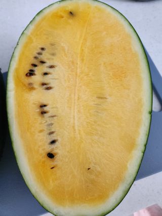 김영옥님의 🍗삼복 보양식 추천해요! · 참여글 작성글 사진