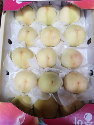 ok 체험학습농원님의 자유주제 · 자유게시판 작성글 사진