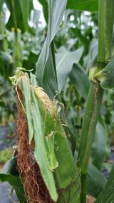 팜모닝 자유주제·자유게시판 게시글 이미지