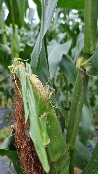 김지석님의 자유주제 · 자유게시판 작성글 사진