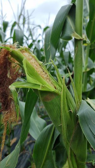 김지석님의 자유주제 · 자유게시판 작성글 사진