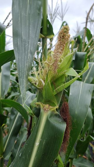 김지석님의 자유주제 · 자유게시판 작성글 사진