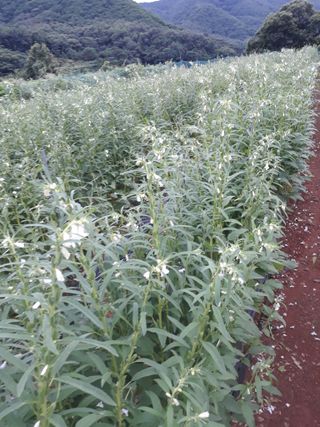 조동원님의 자유주제 · 자유게시판 작성글 사진