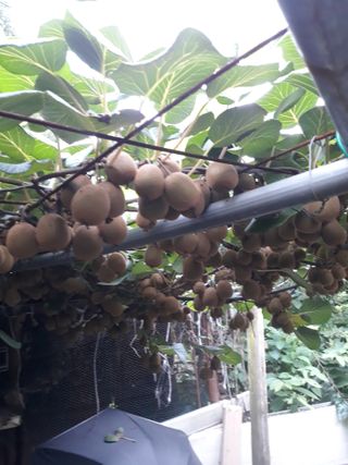 조동원님의 자유주제 · 자유게시판 작성글 사진