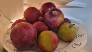 이천용님의 감자 · 영농일지 작성글 사진