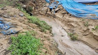 이천용님의 자유주제 · 자유게시판 작성글 사진