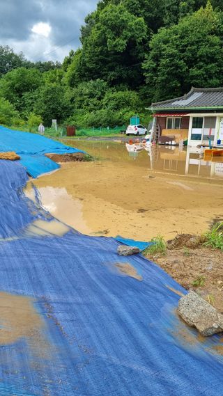 이천용님의 자유주제 · 자유게시판 작성글 사진