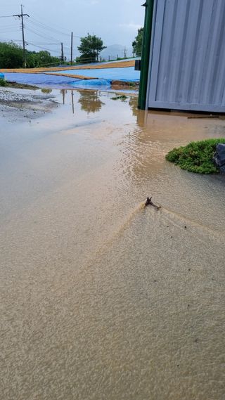 이천용님의 자유주제 · 자유게시판 작성글 사진