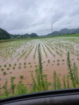 팜모닝 자유주제·자유게시판 게시글 이미지