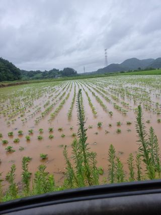 이병남님의 자유주제 · 자유게시판 작성글 사진