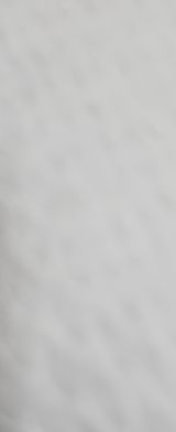 팜모닝 기타작물·영농일지 게시글 이미지