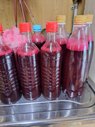 강정희님의 자유주제 · 자유게시판 작성글 사진