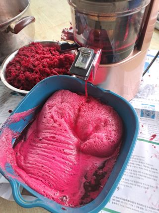 강정희님의 자유주제 · 자유게시판 작성글 사진