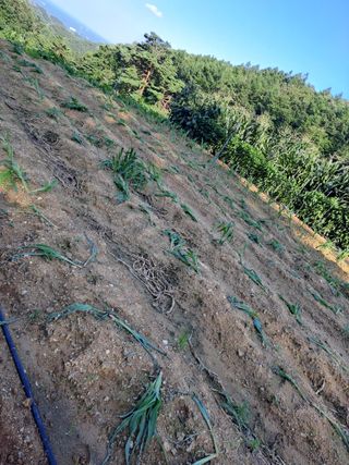 강정희님의 자유주제 · 자유게시판 작성글 사진