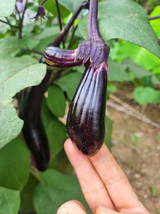 영애님의 자유주제 · 자유게시판 작성글 사진