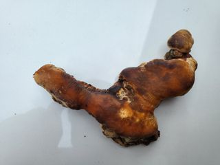 농막쥔님의 자유주제 · 자유게시판 작성글 사진