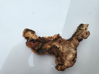 농막쥔님의 자유주제 · 자유게시판 작성글 사진