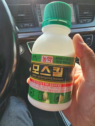 뿌리묘목농원님의 자유주제 · 자유게시판 작성글 사진